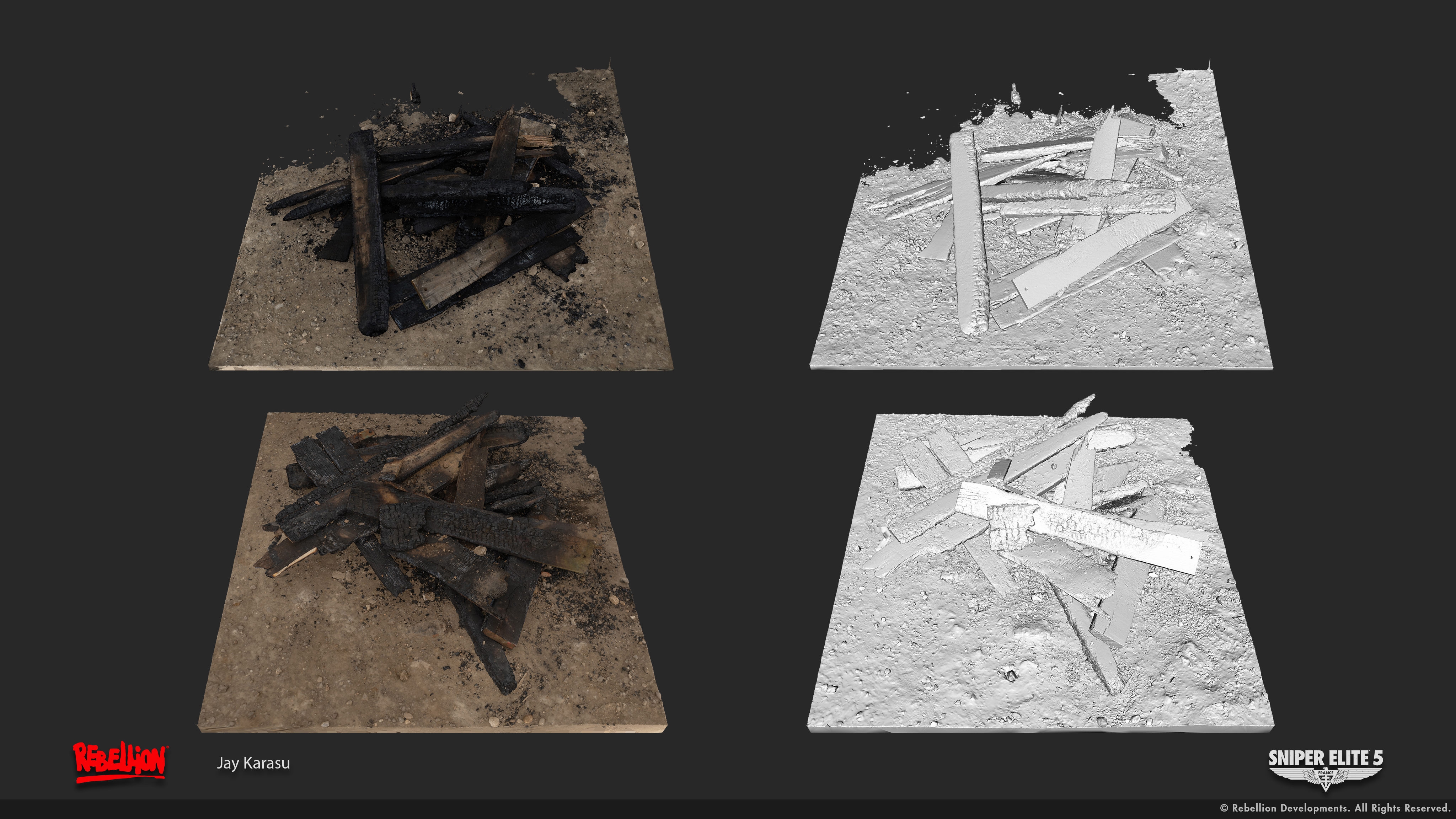 Burned Wood Scans 01